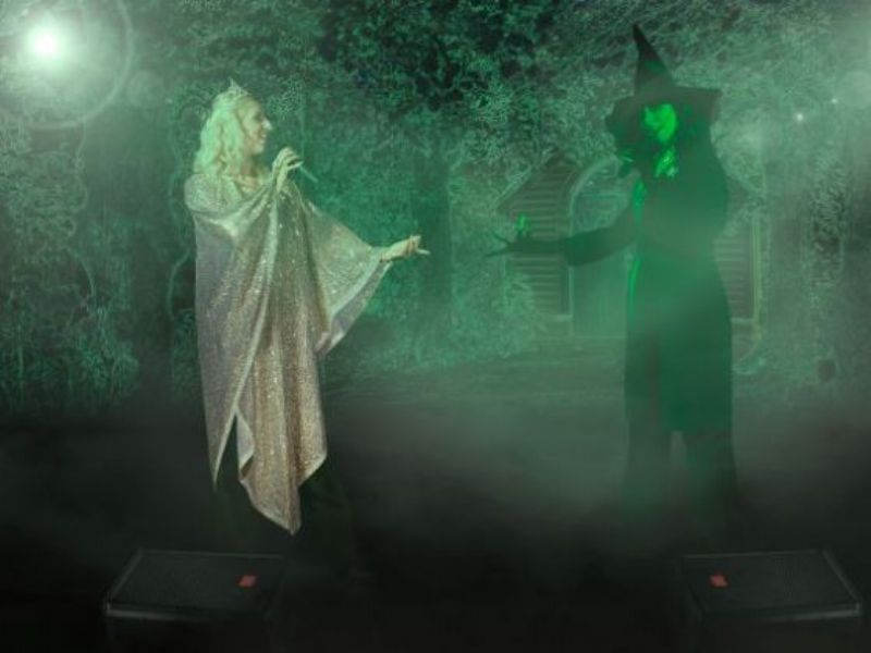 the musicals stage show